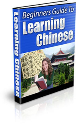 Product picture The Beginners Guide to Learning Chinese